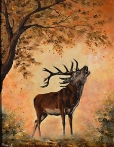Szarvasbika 40x50